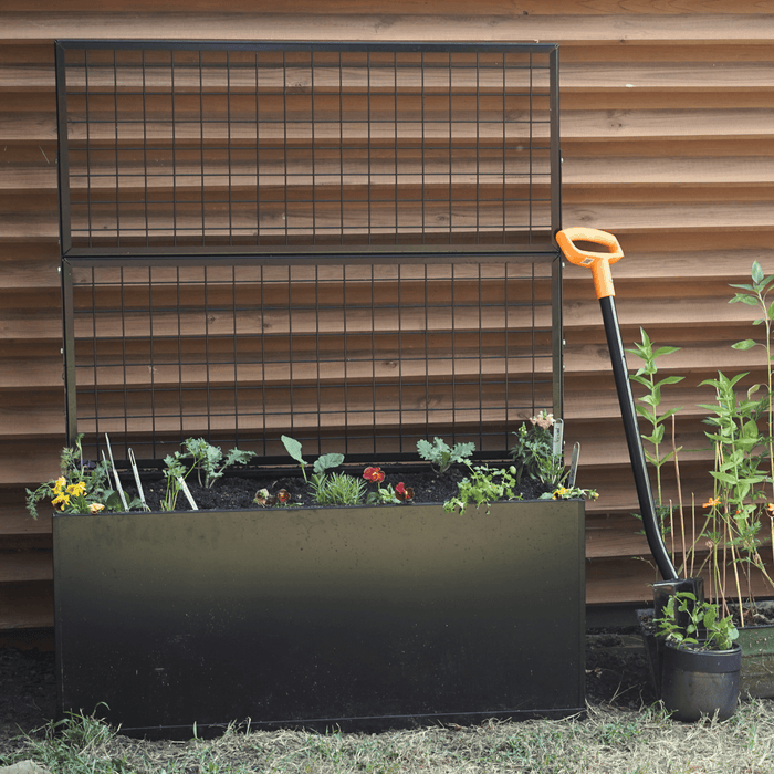 Black metal raised garden bed with trellis, planted with young herbs, flowers, and kale. Shovel beside wood fence.
