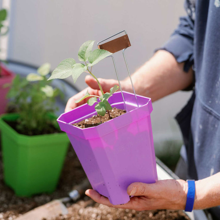 5" Reusable Seed Starting Pots with Insert