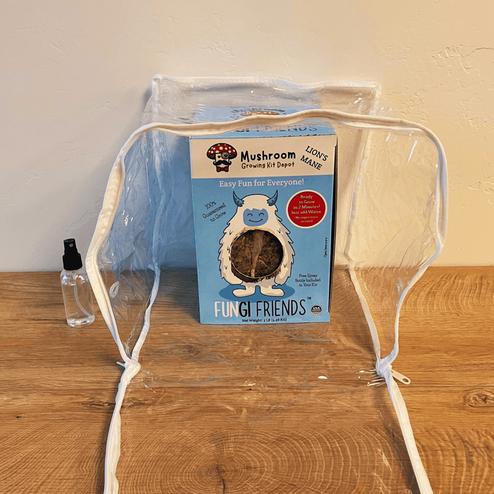 Fungi Friends Lion's Mane mushroom growing kit with clear humidity tent and spray bottle for home cultivation.