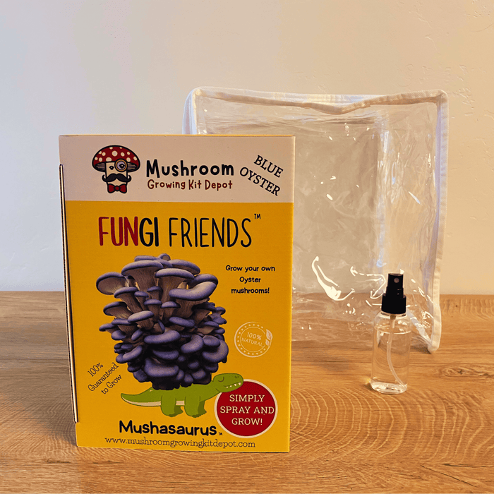 Fungi Friends Blue Oyster mushroom grow kit box, spray bottle, and clear bag. Grow your own gourmet mushrooms at home.