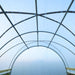 Hoop house interior with translucent plastic covering and metal frame. Ideal for protected cultivation and year-round growing.