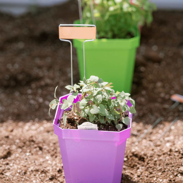5" Reusable Seed Starting Pots with Insert