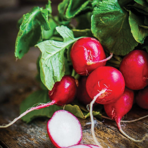 Vibrant red radishes with green leaves and a sliced radish on a rustic wooden surface. Fresh garden produce.