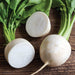 Fresh white radishes, whole and cut, with vibrant green tops on a rustic wooden surface. Healthy root vegetables.