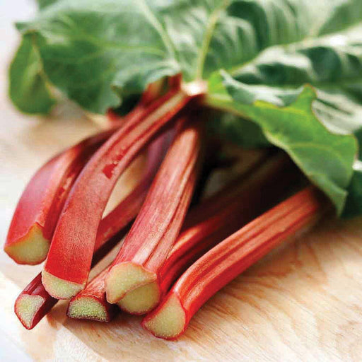 Fresh red rhubarb stalks with green leaves on wood. Harvested garden produce.