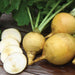 Fresh yellow turnips: whole with green tops, and sliced revealing white flesh, on wood.