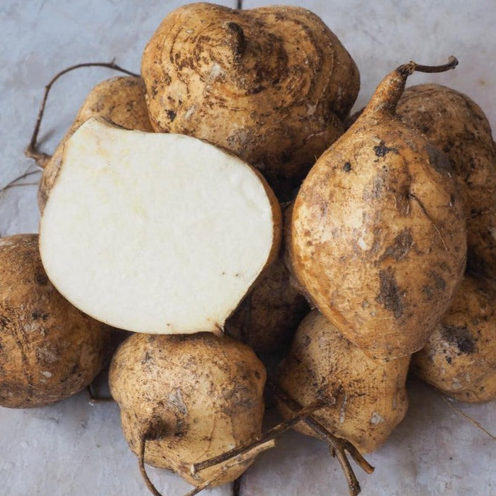 Fresh jicama root vegetables, whole and sliced, showing crisp white interior and brown skin.