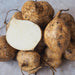 Fresh jicama root vegetables, whole and sliced, showing crisp white interior and brown skin.