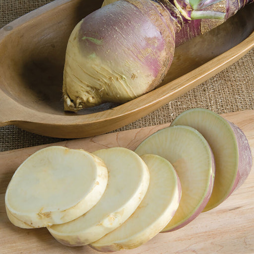 Whole white and purple turnip in a wooden bowl, with fresh slices on a cutting board. Healthy root vegetable.