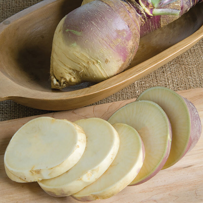 Whole white and purple turnip in a wooden bowl, with fresh slices on a cutting board. Healthy root vegetable.