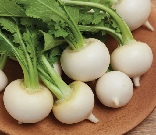 Fresh white turnips with vibrant green leaves on a wooden surface. Healthy root vegetables.