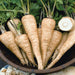 Freshly harvested parsnips in a basket with green tops. One sliced parsnip shows white flesh. Diced parsnips for recipes.