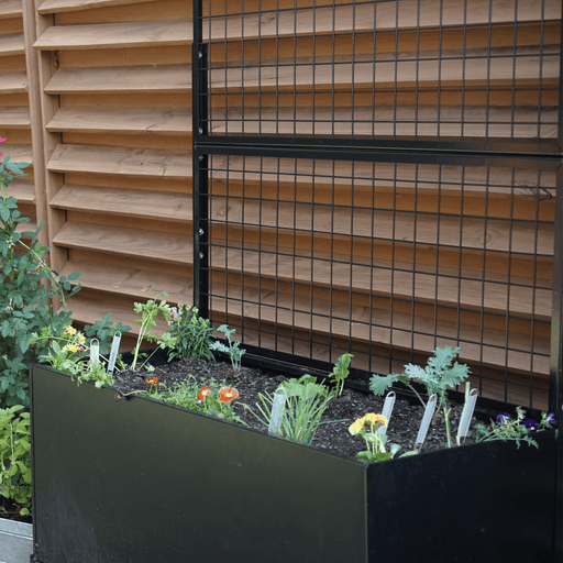 Black raised planter with young herbs, flowers, and a metal grid trellis against a wooden slatted fence, ideal for urban gardening.