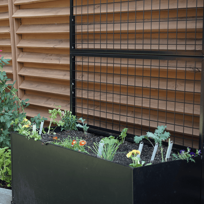 Black raised planter with young herbs, flowers, and a metal grid trellis against a wooden slatted fence, ideal for urban gardening.