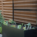Black raised planter with young herbs, flowers, and a metal grid trellis against a wooden slatted fence, ideal for urban gardening.