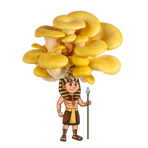 Cartoon Egyptian pharaoh holding a spear, with a vibrant cluster of golden oyster mushrooms forming his head.