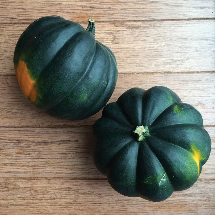 Two dark green acorn squash with yellow-orange spots on a light wood surface. Fresh winter squash, autumn harvest.