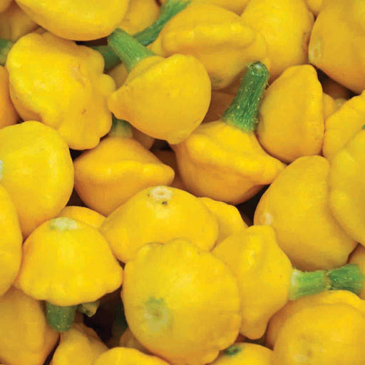 Pile of fresh yellow pattypan squash with green stems. Vibrant summer vegetables, healthy organic produce.