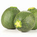 Three fresh globe zucchini with speckled green skin. Healthy round summer squash produce.
