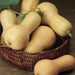 Ripe butternut squash in a woven basket with green leaves. Fresh winter squash harvest.