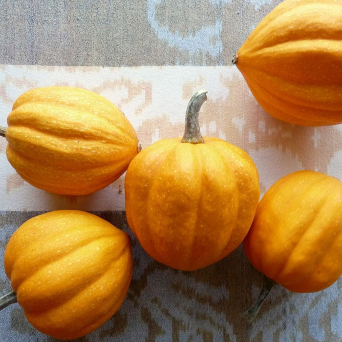 Five vibrant orange mini pumpkins and gourds with ribbed texture on a decorative patterned fabric. Autumn harvest decor.
