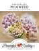 Narrowleaf Milkweed flowers with a bee. Non-GMO flower seed for attracting pollinators.