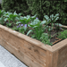 Raised wooden garden bed with broccoli, chives, herbs, and purple flowers. Drip irrigation system, gravel path.