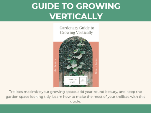 Gardenary Guide to Growing Vertically book cover. Green vine climbs an arched trellis for vertical garden design.