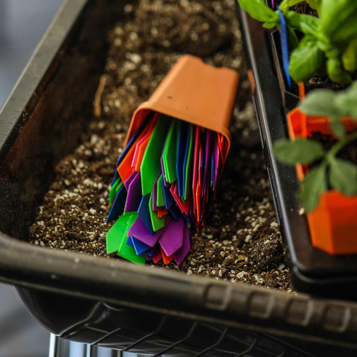 Colorful plant markers spilling from a terracotta pot onto potting soil in a black seed starting tray with young seedlings.