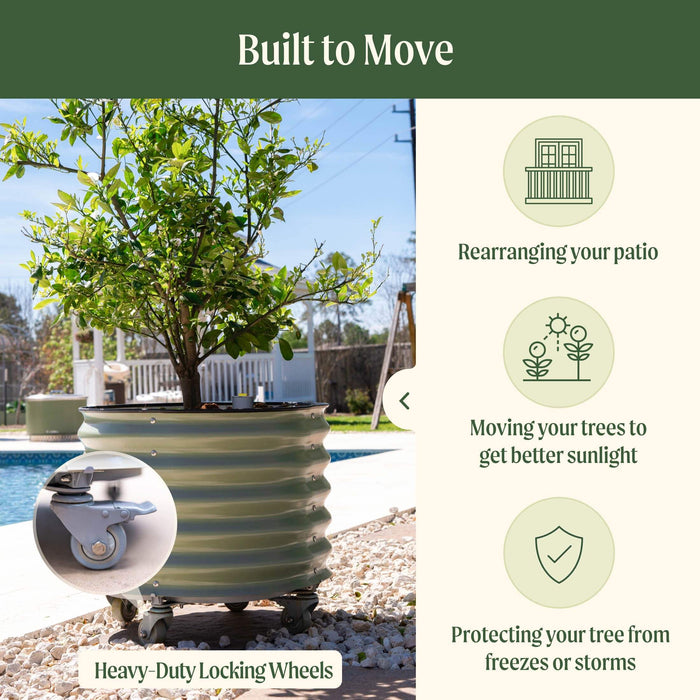 Corrugated metal planter with tree on heavy-duty locking wheels. Mobile for patio arranging, sunlight, & storm protection.