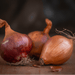 Close-up of three shallots: one red, two golden-brown, with roots. Fresh produce, gourmet cooking ingredients.