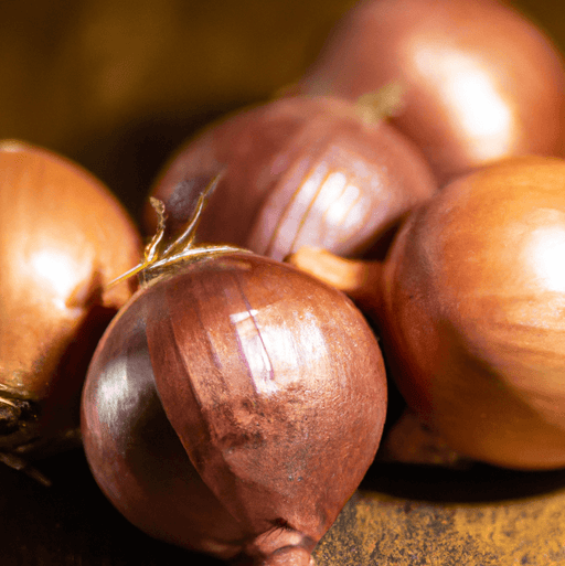 Fresh brown and red shallots. Gourmet cooking onions, savory ingredients, healthy produce.