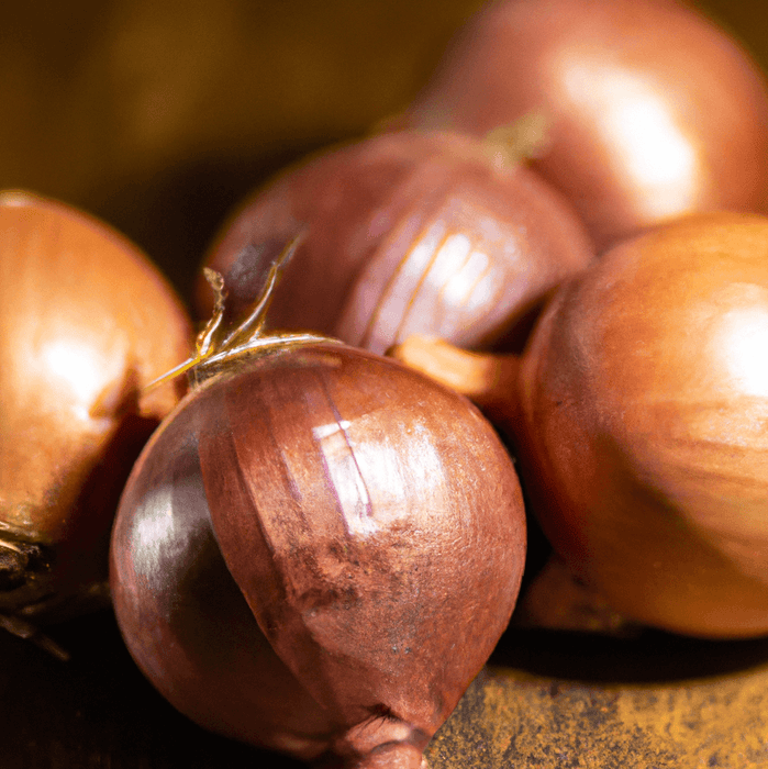 Fresh brown and red shallots. Gourmet cooking onions, savory ingredients, healthy produce.