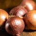 Fresh brown and red shallots. Gourmet cooking onions, savory ingredients, healthy produce.