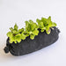 Black fabric grow bag with three vibrant green lettuce plants, suitable for urban and container gardening.