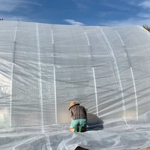 Farmer securing poly film on a large hoop house greenhouse. Installing clear plastic sheeting for season extension.