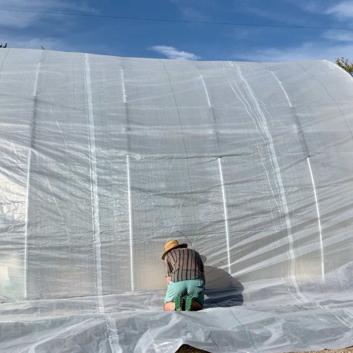Farmer securing poly film on a large hoop house greenhouse. Installing clear plastic sheeting for season extension.