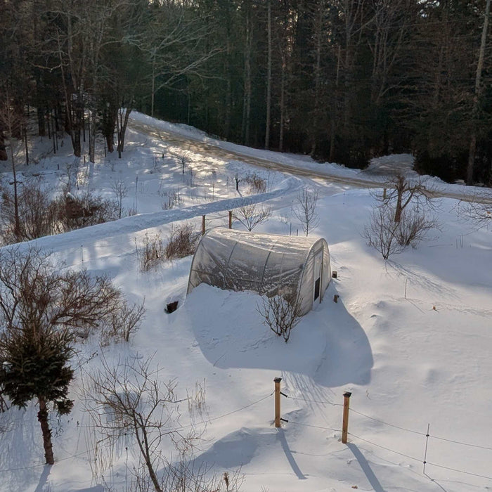 Snow-covered hoop house greenhouse in a winter landscape with bare trees, a forest, and a rural dirt road.