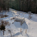 Snow-covered hoop house on a rural winter farm. Bare trees, evergreens, and a sunny dirt road lead into the forest.