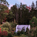 Small white greenhouse nestled in an abundant autumn garden with evergreen trees and a soft pink twilight sky.