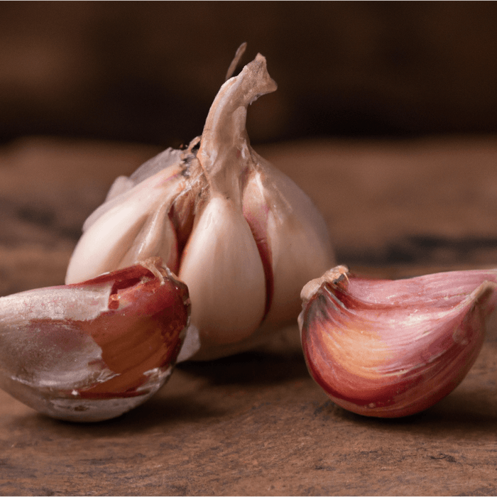 Spanish Roja Garlic (lb)