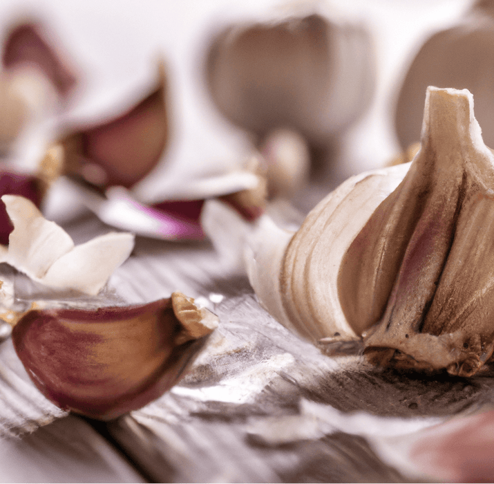 Spanish Roja Garlic (lb)
