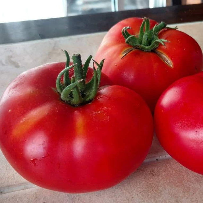 Three ripe red tomatoes with green stems on a light surface. Fresh garden produce, healthy cooking.