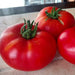 Three ripe red tomatoes with green stems on a light surface. Fresh garden produce, healthy cooking.