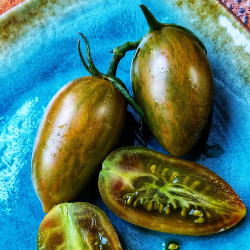 Fresh dark heirloom plum tomatoes, whole and sliced, on a vibrant blue plate. Juicy green flesh, seeds, and water droplets visible.