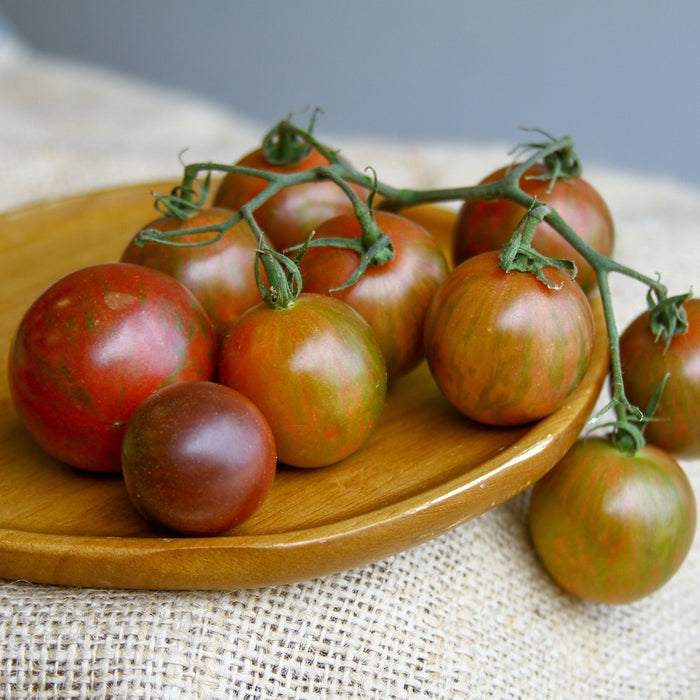 Fresh striped heirloom tomatoes on the vine: red, green, brown. Rustic wooden plate & burlap.