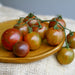 Fresh striped heirloom tomatoes on the vine: red, green, brown. Rustic wooden plate & burlap.
