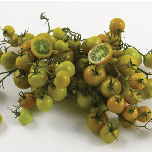 Vibrant yellow-green cherry tomatoes on the vine, two cut to show green interior. Fresh, healthy produce.