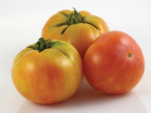 Ripe heirloom tomatoes: two yellow beefsteak, one red. Fresh garden produce on white background.