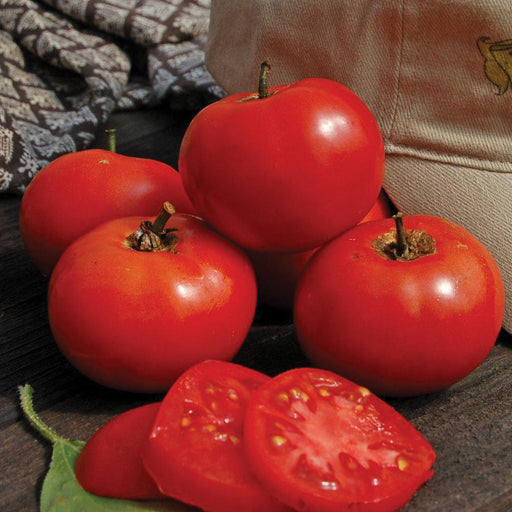 Fresh, ripe red tomatoes, whole and sliced, on a dark wooden surface. Delicious, healthy garden vegetables.